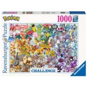 Pokemon Challenge Puzzle (1000)