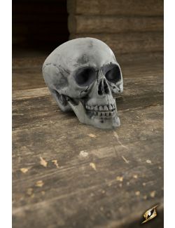Skull 21 cm